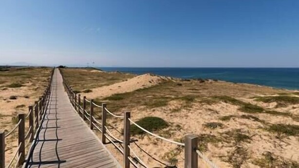 A wooden boardwalk leading to a beach with sandy dunes and the ocean in the background. - House heated pool walking beach animals Ok (Labenne)