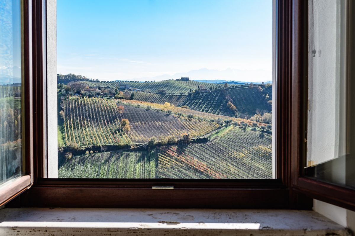 Una finestra con vista su vigneti a terrazze.