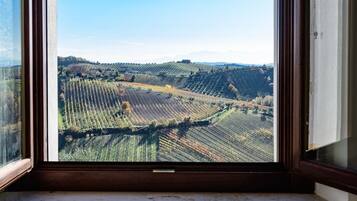 Una finestra con vista su vigneti a terrazze.
