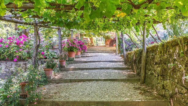 Un vialetto in pietra che si snoda attraverso un giardino, con un pergolato sopra e vasi di piante ai lati.