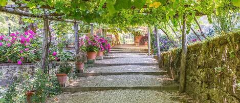 Overnattingsstedets uteområder