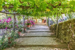 Parco della struttura