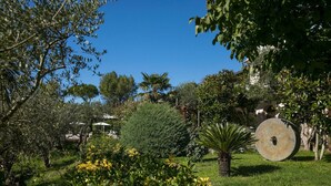 Un jardin avec différents arbres, une grande pierre et des sièges d’extérieur.