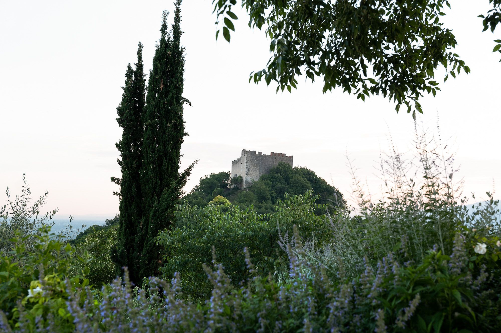 Un castillo en una colina rodeado de vegetación densa.