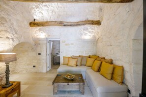 تلفزيون، مدفأة، مشغل دي في دي، كُتُب