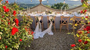 An outdoor dining setup with tables set for a meal, surrounded by red roses and a mountainous backdrop. - I Tebaldi - Eight Bedroom Villa, Sleeps 18 (Reggello)