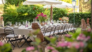 An outdoor dining area with tables set for a meal, surrounded by greenery and statues. - Tenuta Bartolucci - Ten Bedroom Villa, Sleeps 22 (Palaia)
