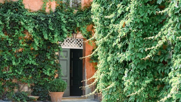 Un bâtiment avec une porte verte, entouré d’une végétation luxuriante de lierre.