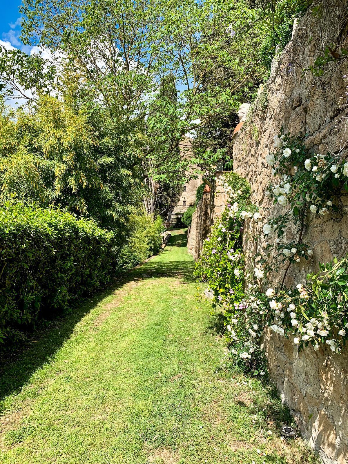 A pathway leading through a lush garden with dense foliage and a stone wall on one side.