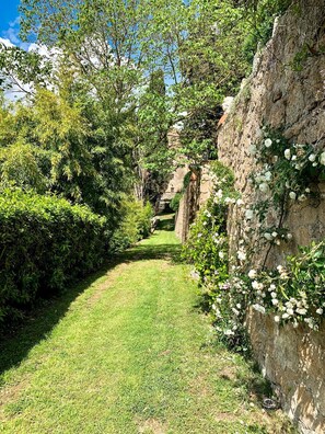 A pathway leading through a lush garden with dense foliage and a stone wall on one side.