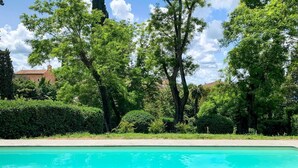 Una piscina rodeada de exuberante vegetación y árboles.