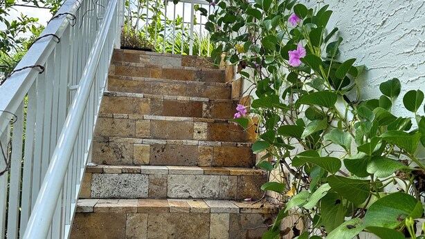 A set of stone steps leading up to a white wall, with a metal railing on one side and a plant with pink flowers on the other. - Your Grove Home (Miami)