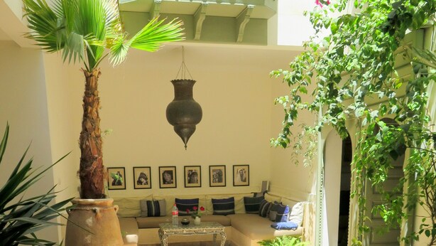 A serene courtyard with a pool, a sofa set, and various plants.