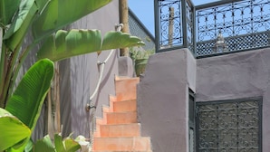 A staircase leading to a gated entrance, surrounded by potted plants and a metal gate.