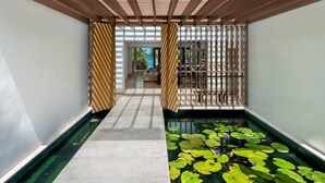 A serene indoor water garden with lily pads and a clear pathway leading to a seating area. - Villa Lily Pad - Three Bedroom Villa, Sleeps 6 (Gibbes)