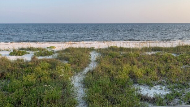 A coastal path leading to the beach with a clear view of the ocean. - Gulf to Bay, on the beach home with bay access (Alligator Point)