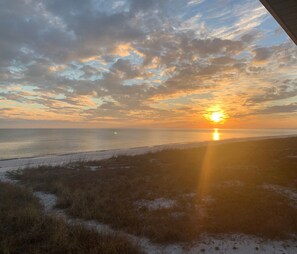 Beach nearby, sun-loungers - Gulf to Bay, on the beach home with bay access (Alligator Point)