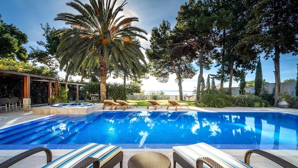 Ein Swimmingpool mit Liegestühlen und einer Palme.
