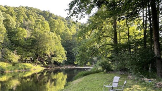 Eine friedliche Flusslandschaft mit einer Rasenfläche und einer Bank.