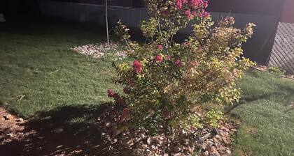 located In Odessa tx This cute place has a nice open floor plan and a big yard