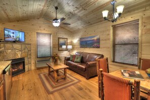 Télévision, cheminée, lecteur de DVD