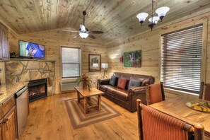 TV, fireplace, DVD player