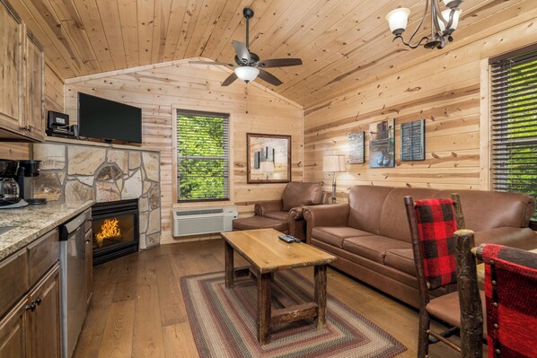 Flat-screen TV, fireplace, DVD player