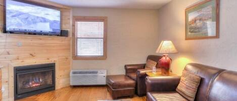 Una televisión, una chimenea, un reproductor de DVD