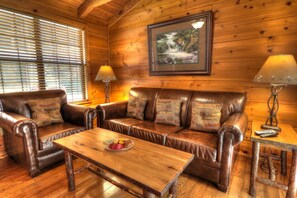 电视、DVD 播放器