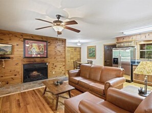 Televisión de pantalla plana, chimenea y reproductor de DVD 