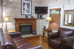 Televisión, chimenea y reproductor de DVD 