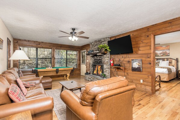 Televisión, chimenea y reproductor de DVD 