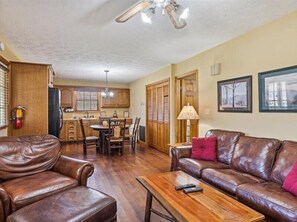 Televisión, chimenea y reproductor de DVD 