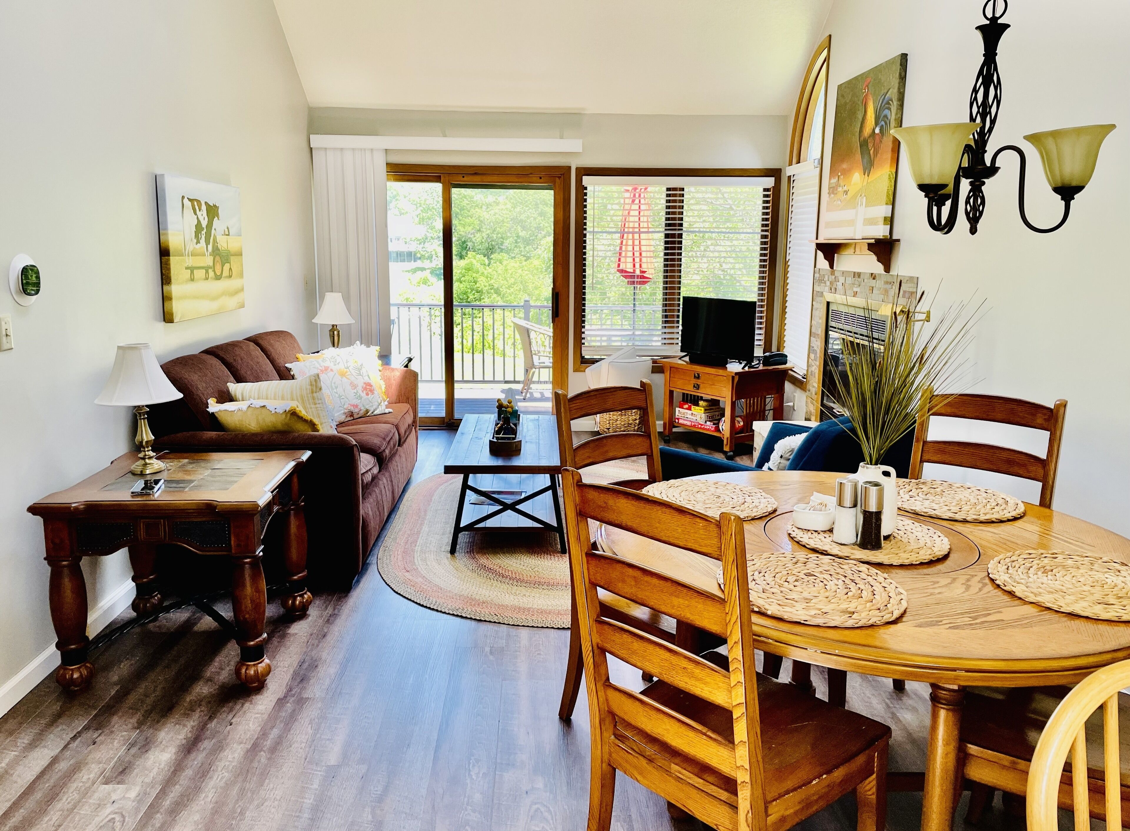 Una televisión, una chimenea, un reproductor de DVD, libros