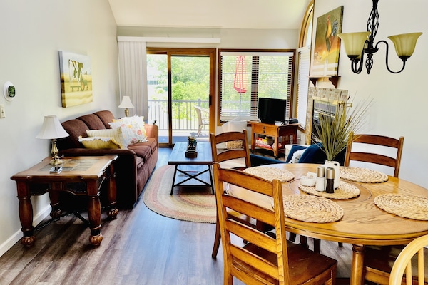 TV, fireplace, DVD player, books