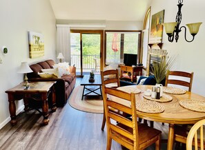 電視、壁爐、DVD 播放機、書籍