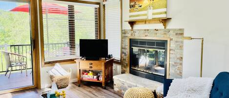 Una televisión, una chimenea, un reproductor de DVD, libros