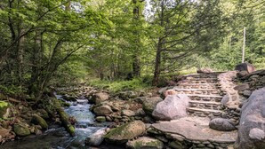 Un área boscosa con un arroyo y escalones de piedra que serpentean entre los árboles.