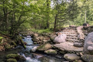A forested area with a stream and stone steps leading through the trees.