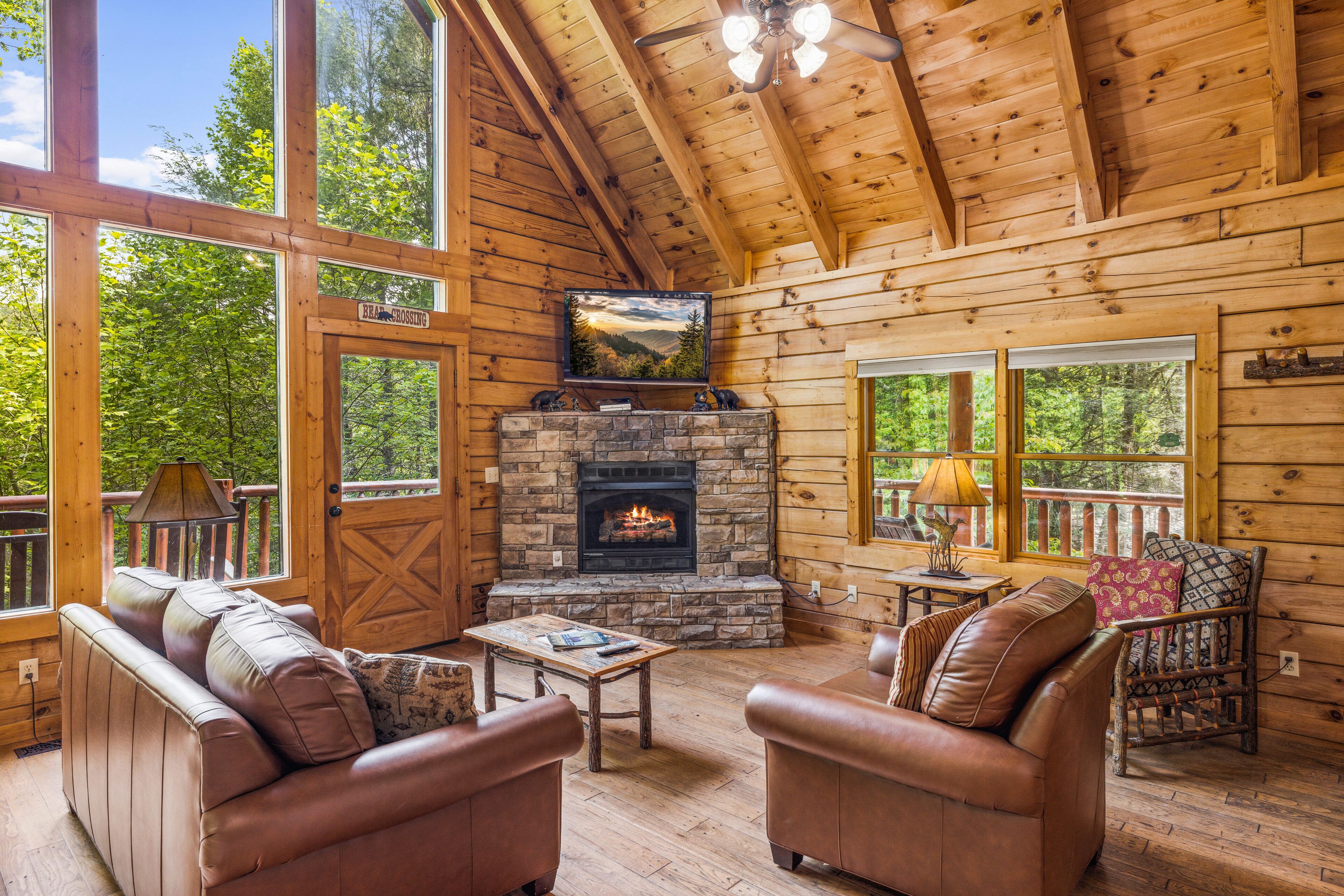 电视、壁炉、DVD 播放器