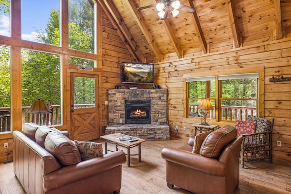 TV, caminetto, lettore DVD