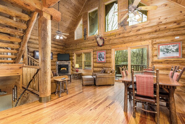 TV, fireplace, DVD player