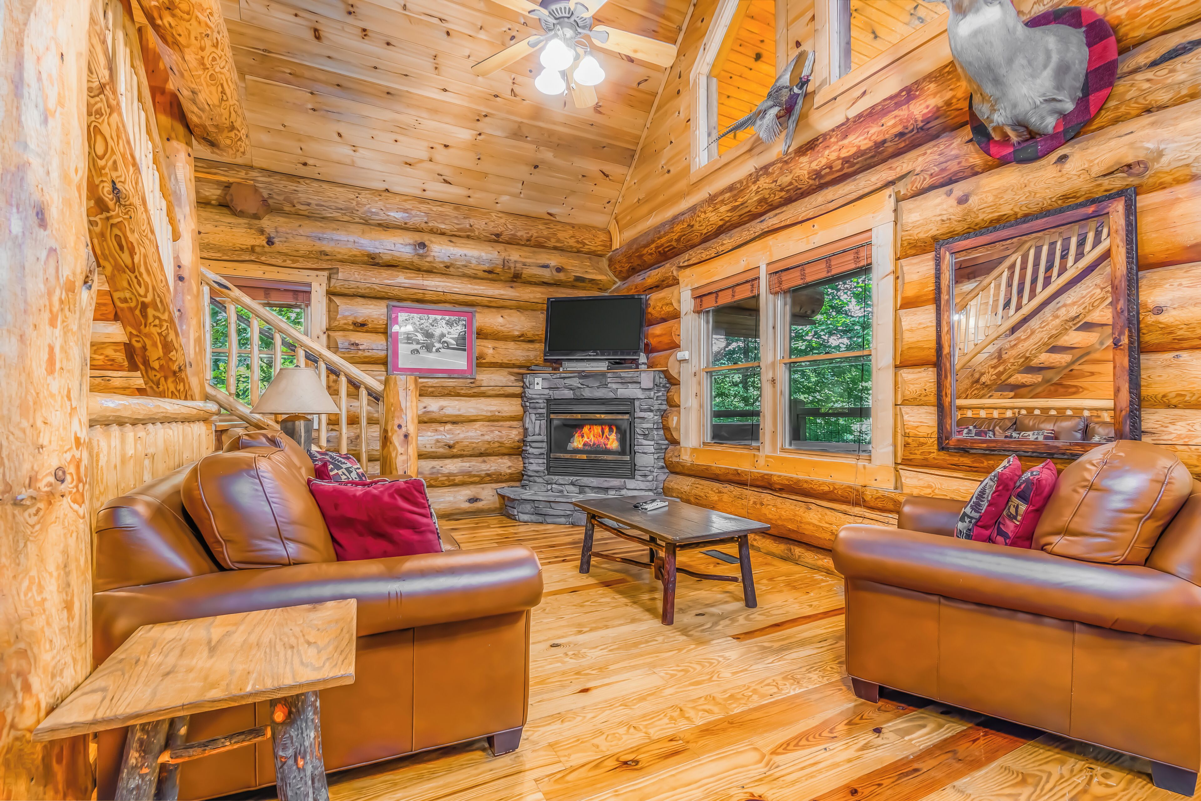 TV, fireplace, DVD player