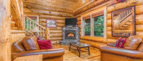 تلفزيون، مدفأة، مشغل دي في دي