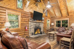 TV, fireplace, DVD player