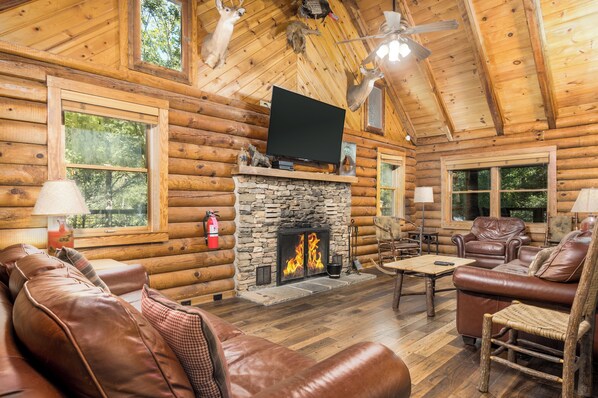 TV, fireplace, DVD player