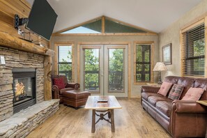 Televisión, chimenea y reproductor de DVD 