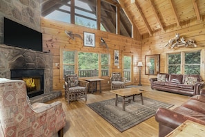 TV, fireplace, DVD player