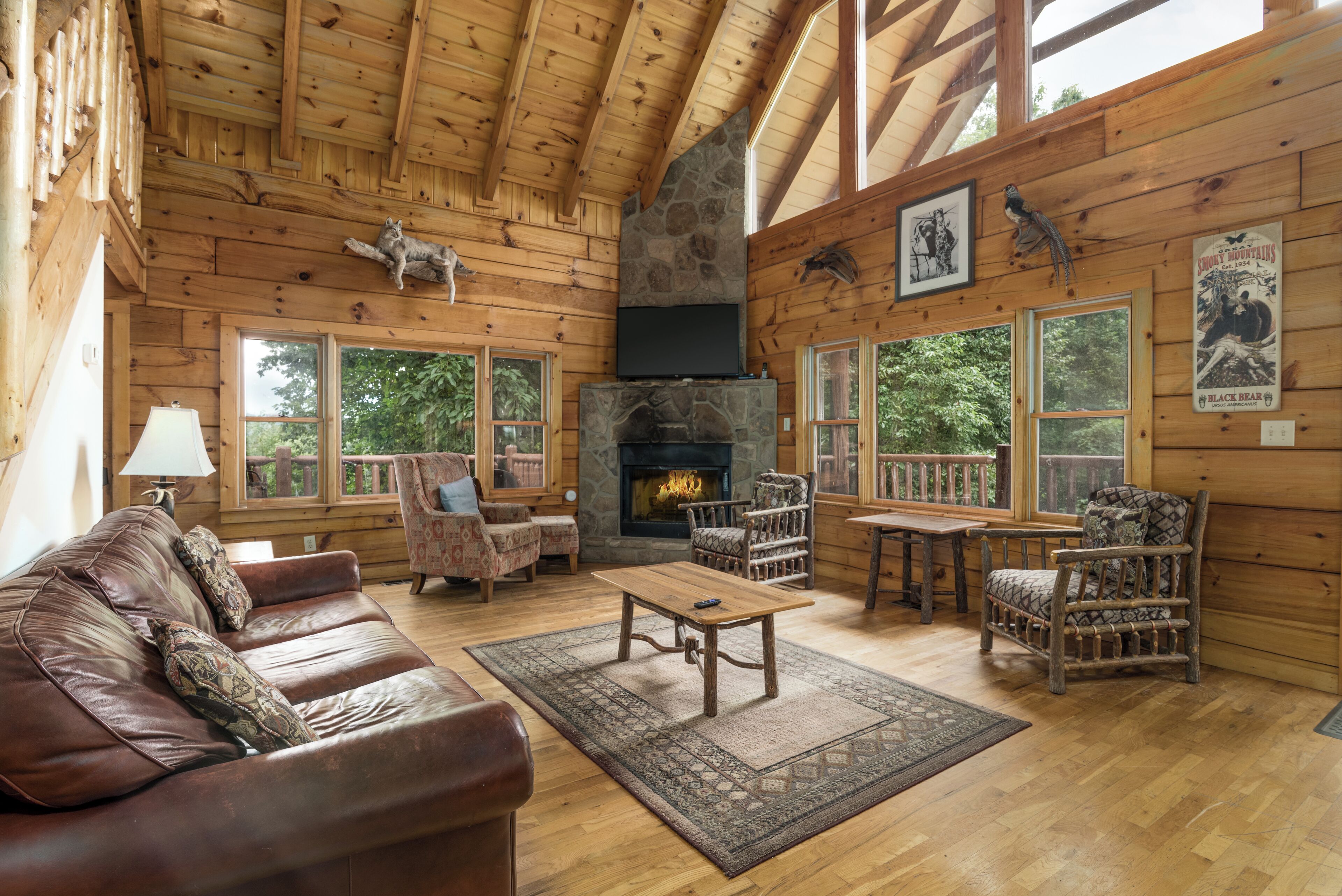 Télévision, cheminée, lecteur de DVD