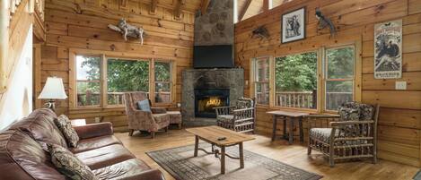 TV, fireplace, DVD player